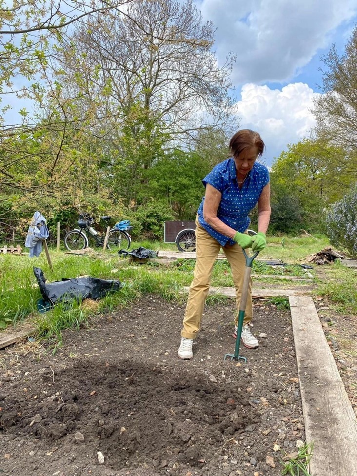 Woman digging in allotment